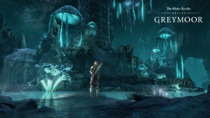 The Elder Scrolls Online - Greymoor screenshot