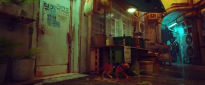 Stray screenshot