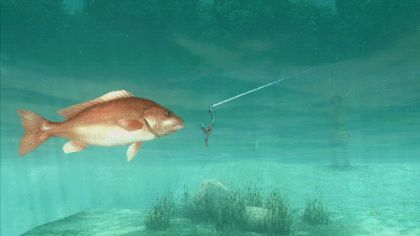 About Fishing screenshot