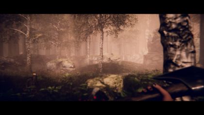 Project Songbird screenshot