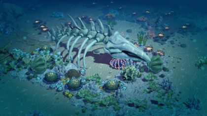 Life Below screenshot